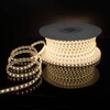 Миниатюра фото светодиодная влагозащищенная лента elektrostandard 14,4w/m 120led/m 2835smd дневной белый 50m a053639 | 220svet.ru
