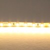 Миниатюра фото светодиодная лента lightstar 12w/m 120led/m 5m 420503 | 220svet.ru