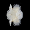 Миниатюра фото бра crystal lux dandelion ap2 gold | 220svet.ru