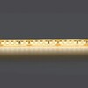 Миниатюра фото светодиодная влагозащищенная лента дневной белый lightstar 14w/m 180led/m 5m 421054 | 220svet.ru