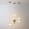 Миниатюра фото подвесной светильник imperium loft palma pendant 212755-22 | 220svet.ru