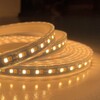 Миниатюра фото светодиодная лента favourite 19,8w/m 168led/m 2835smd от теплого до холодного 5m 2001-62020 | 220svet.ru