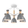 Миниатюра фото потолочная люстра freyadelia fr5033cl-05w | 220svet.ru