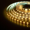 Миниатюра фото светодиодная лента elektrostandard 4,8w/m 60led/m 2835smd теплый белый 5m a040995 | 220svet.ru