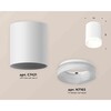 Миниатюра фото комплект накладного светильника ambrella light techno spot xs7421024 swh/fr белый песок/белый матовый (c7421, n7160) | 220svet.ru