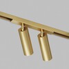 Миниатюра фото трековый светодиодный светильник denkirs shine spot zigbee dk5942-sb | 220svet.ru