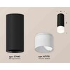 Миниатюра фото комплект накладного светильника ambrella light xs7443016 sbk/fr черный песок/белый матовый (c7443, n7170) | 220svet.ru