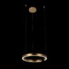 Миниатюра фото подвесной светильник loft it ring 10013m | 220svet.ru