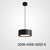 Миниатюра фото подвесной светильник imperium loft siggen 3000к 212929-23 | 220svet.ru