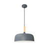 Миниатюра фото подвесной светильник arte lamp kayla a7102sp-1gy | 220svet.ru