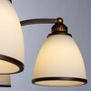 Миниатюра фото подвесная люстра arte lamp bonito a9518lm-5ba | 220svet.ru