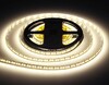 Миниатюра фото светодиодная лента дневной белый ambrella light 14,4w/m 180led/m 2835smd 4500к 5m gs3202 | 220svet.ru