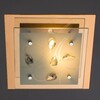 Миниатюра фото потолочный светильник arte lamp a4042pl-1cc | 220svet.ru