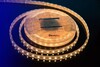 Миниатюра фото влагозащищенная лента designled 14,4w/m 60led/m 5050smd теплый белый 5m 000519 | 220svet.ru