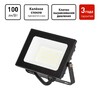 Миниатюра фото прожектор светодиодный уличный эра pro lpr-062-0-65k-02 б0064648 | 220svet.ru