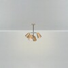 Миниатюра фото потолочная люстра на штанге freya terra fr5260pl-04bs | 220svet.ru