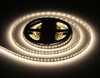 Миниатюра фото светодиодная лента дневной белый ambrella light 9,6w/m 120led/m 2835smd 4500к 5m gs1102 | 220svet.ru