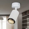 Миниатюра фото спот эра ol55 wh/bk б0061888 | 220svet.ru