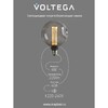 Миниатюра фото лампочка филаментная е27 voltega серия - 271 8564 | 220svet.ru