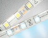 Миниатюра фото светодиодная влагозащищенная лента холодный белый ambrella light 14,4w/m 60led/m 5050smd 6500к 5m gs2103 | 220svet.ru