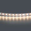 Миниатюра фото светодиодная лента 3000к 24v 10w/m lightstar 420563 | 220svet.ru