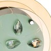 Миниатюра фото потолочный светильник arte lamp a4043pl-1cc | 220svet.ru